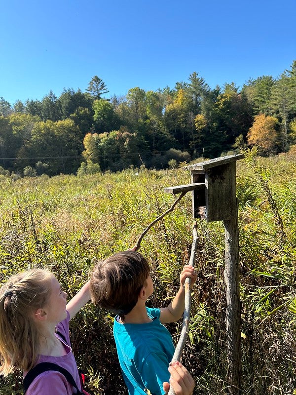 clean out bird house