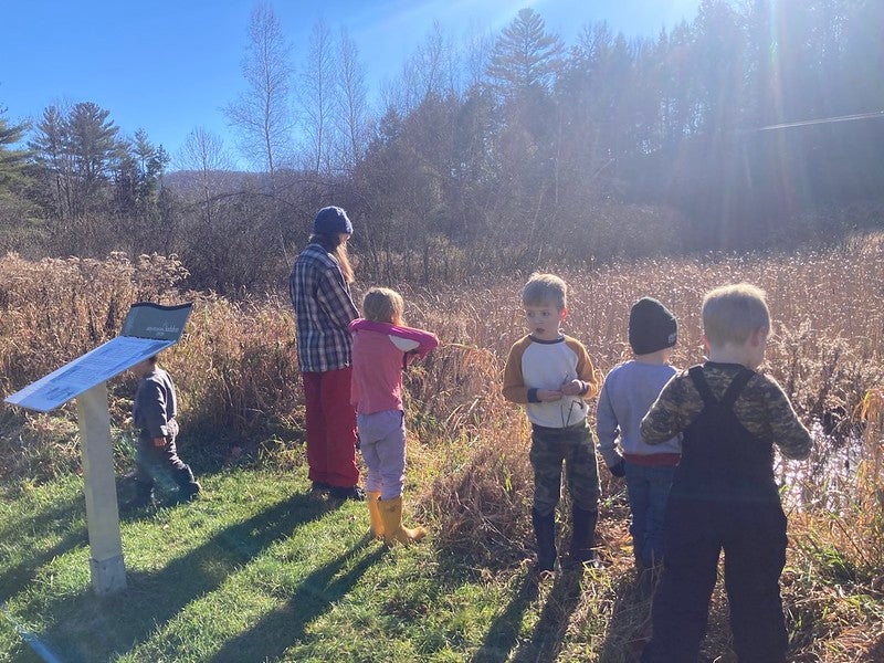 looking out at the pond