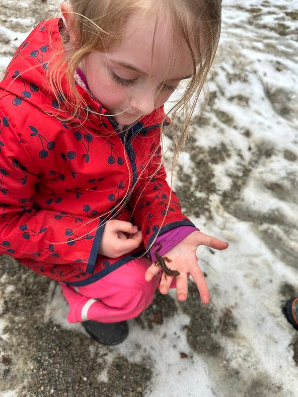 student with eastern newt