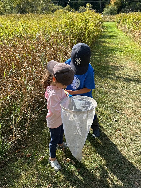 Students looking in net