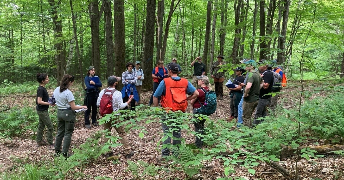 A photo of a group of foresters gathered in a circle in the middle of a forest.