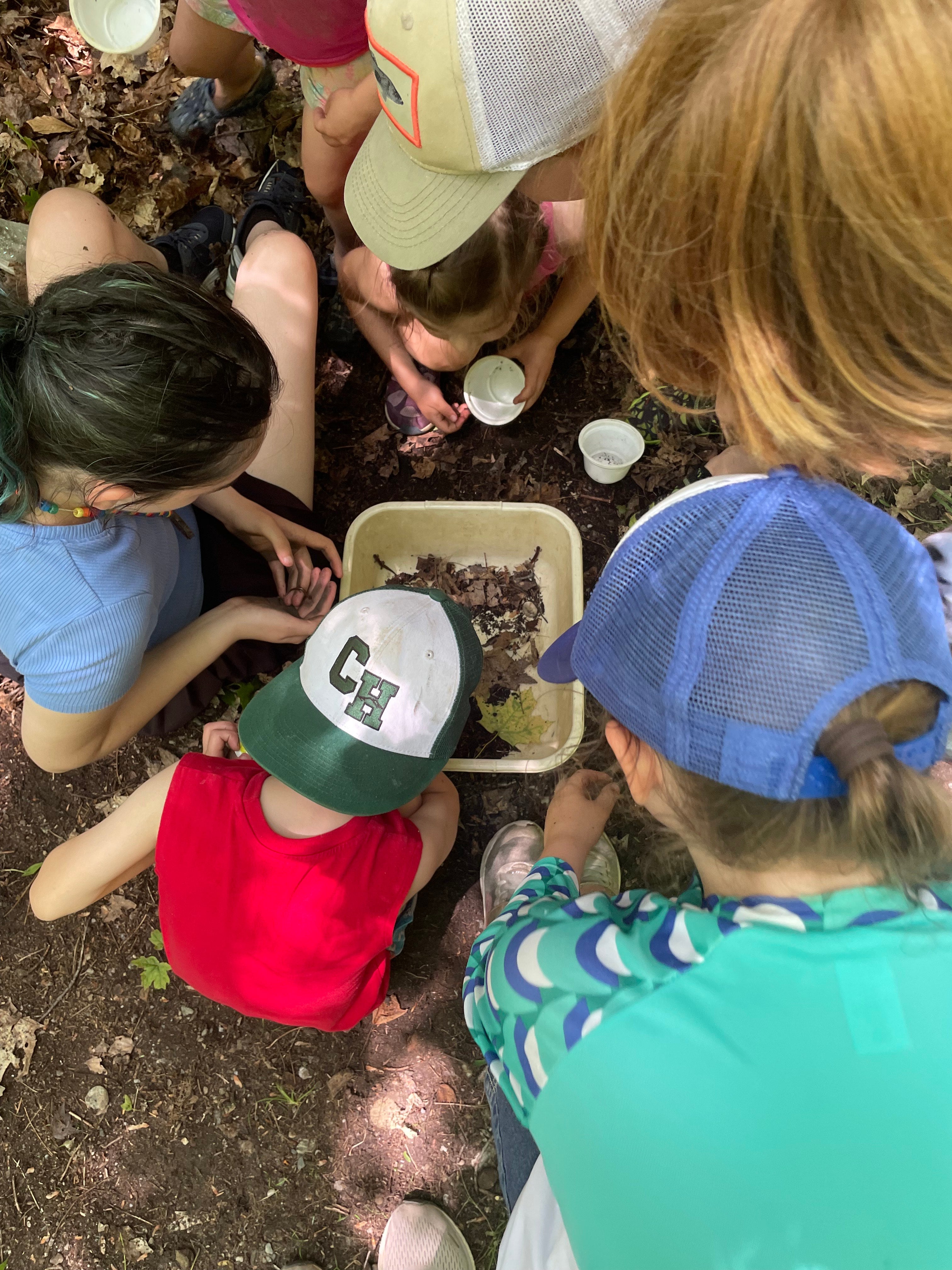 Campers looking at critters