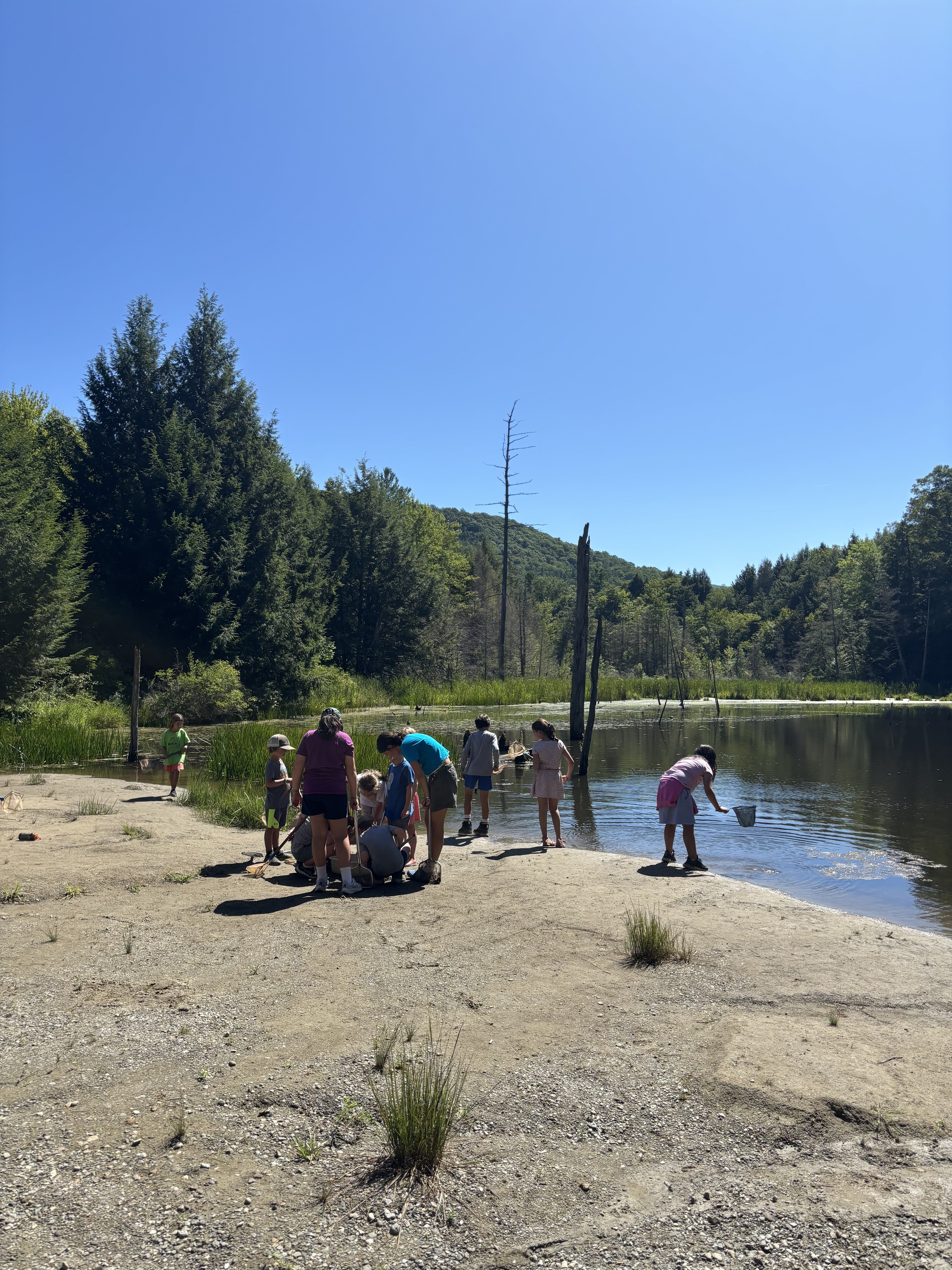 Campers at beaver pond