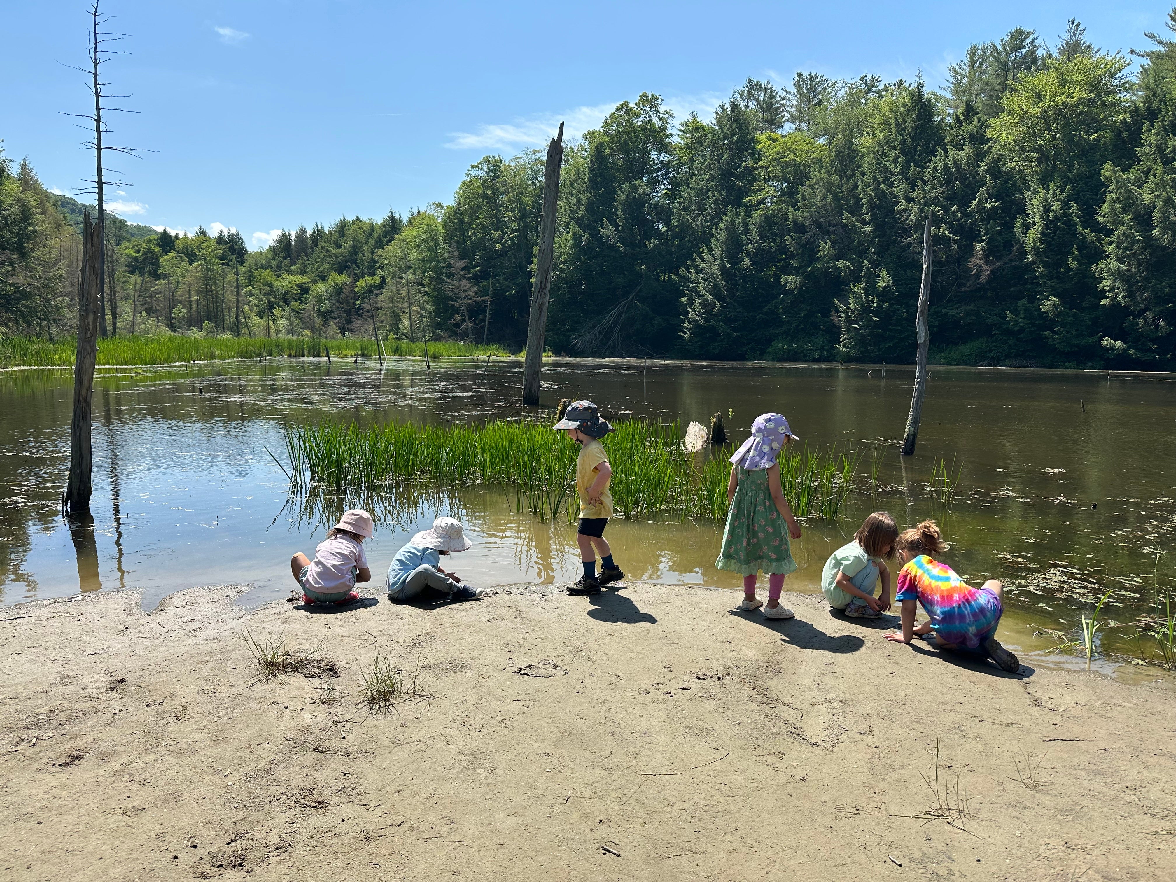 Campers at beaver pond