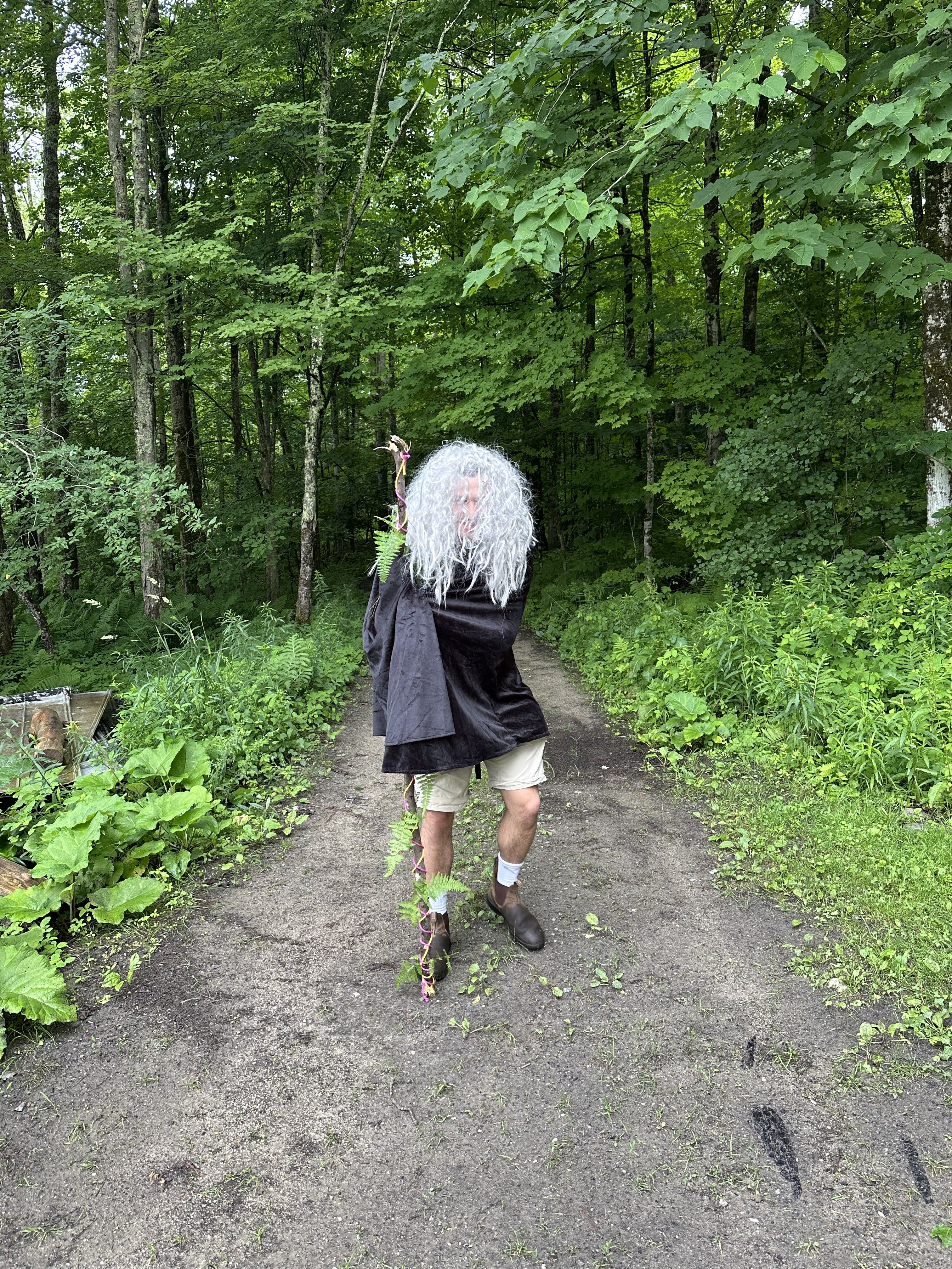 Wizard �ԹϺ��� Albert