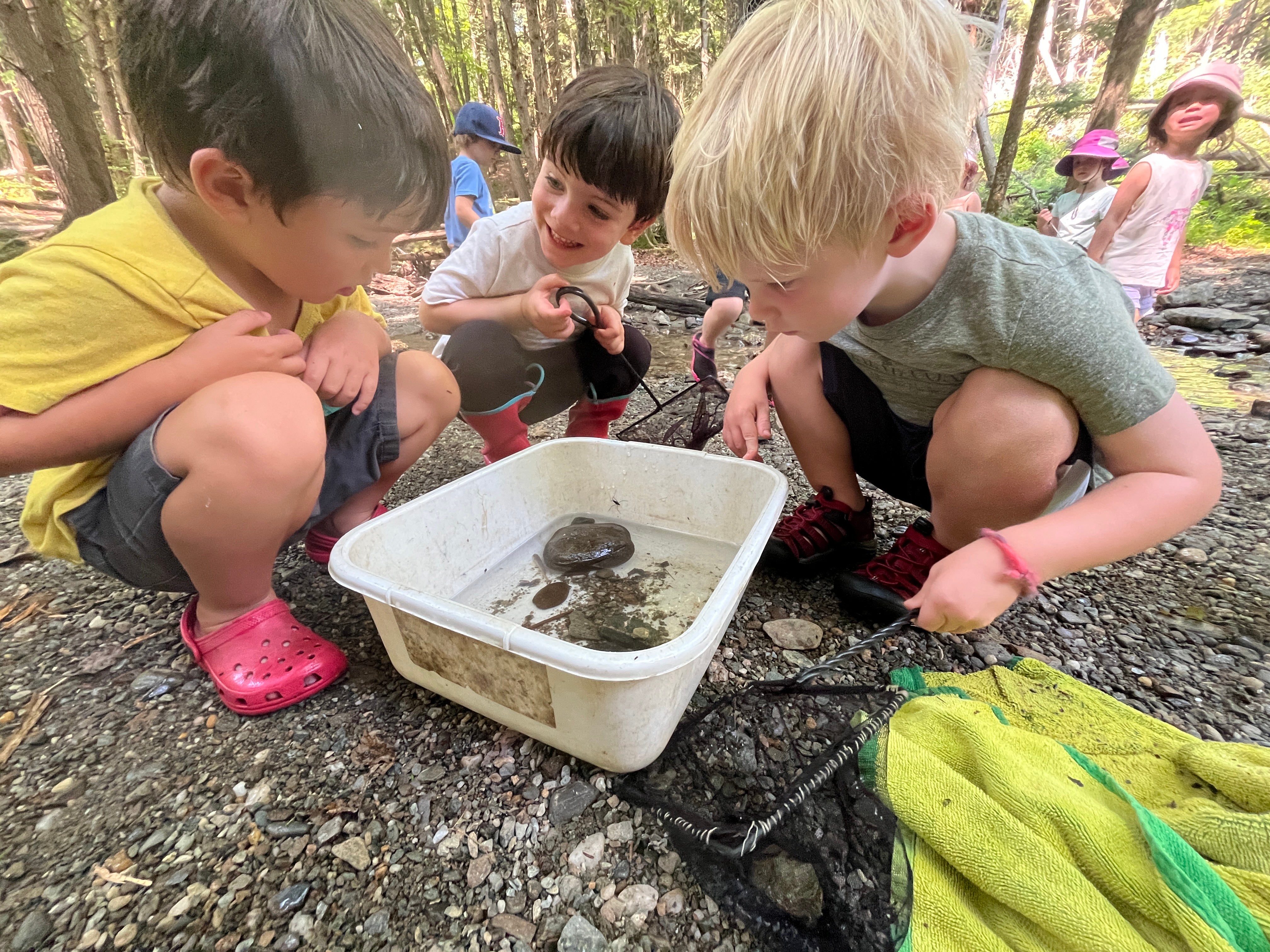 Campers looking at critters