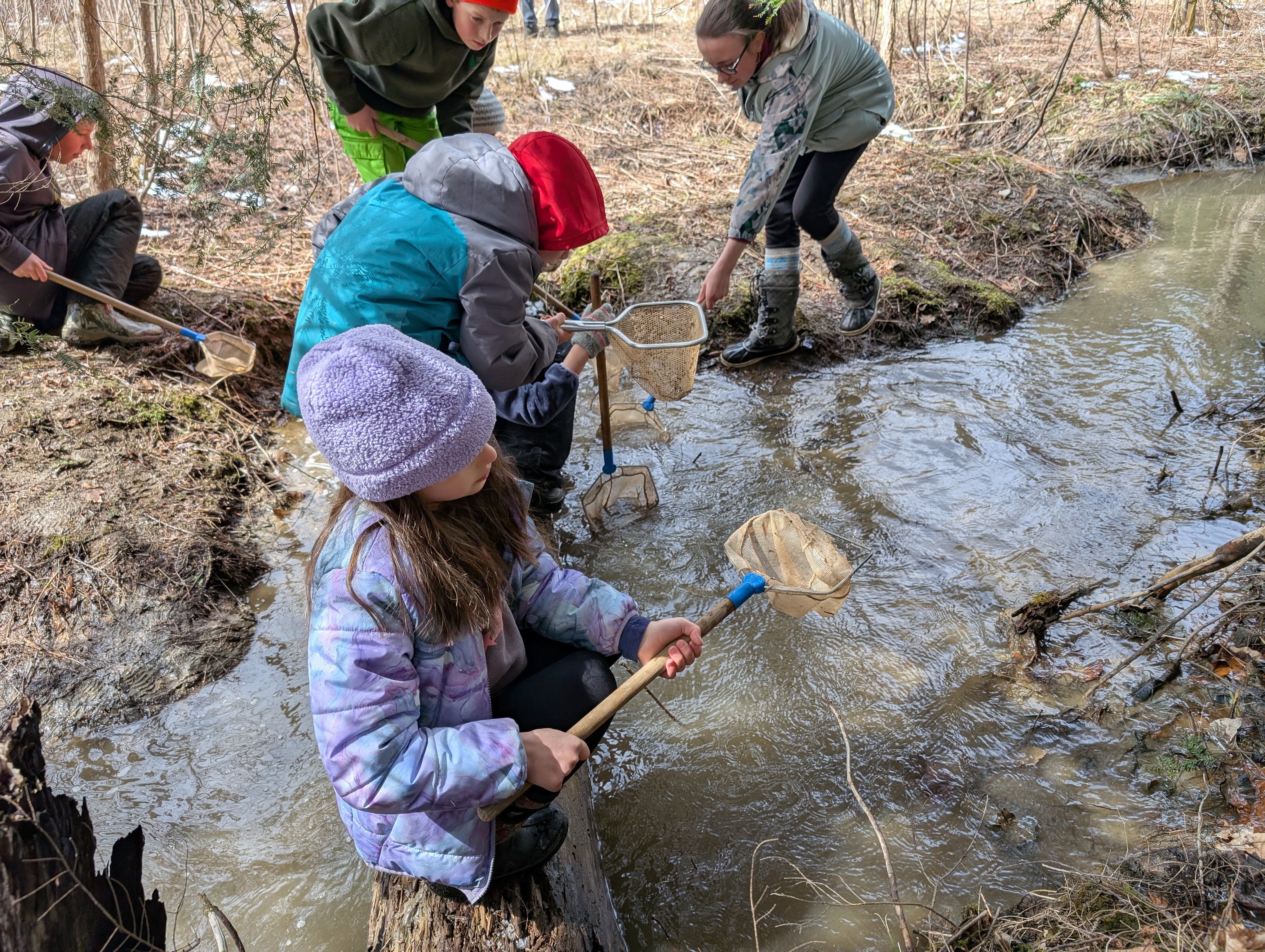 Several children crouch around a stream and on a log crossing it. They hold out nets and dip them in the water.