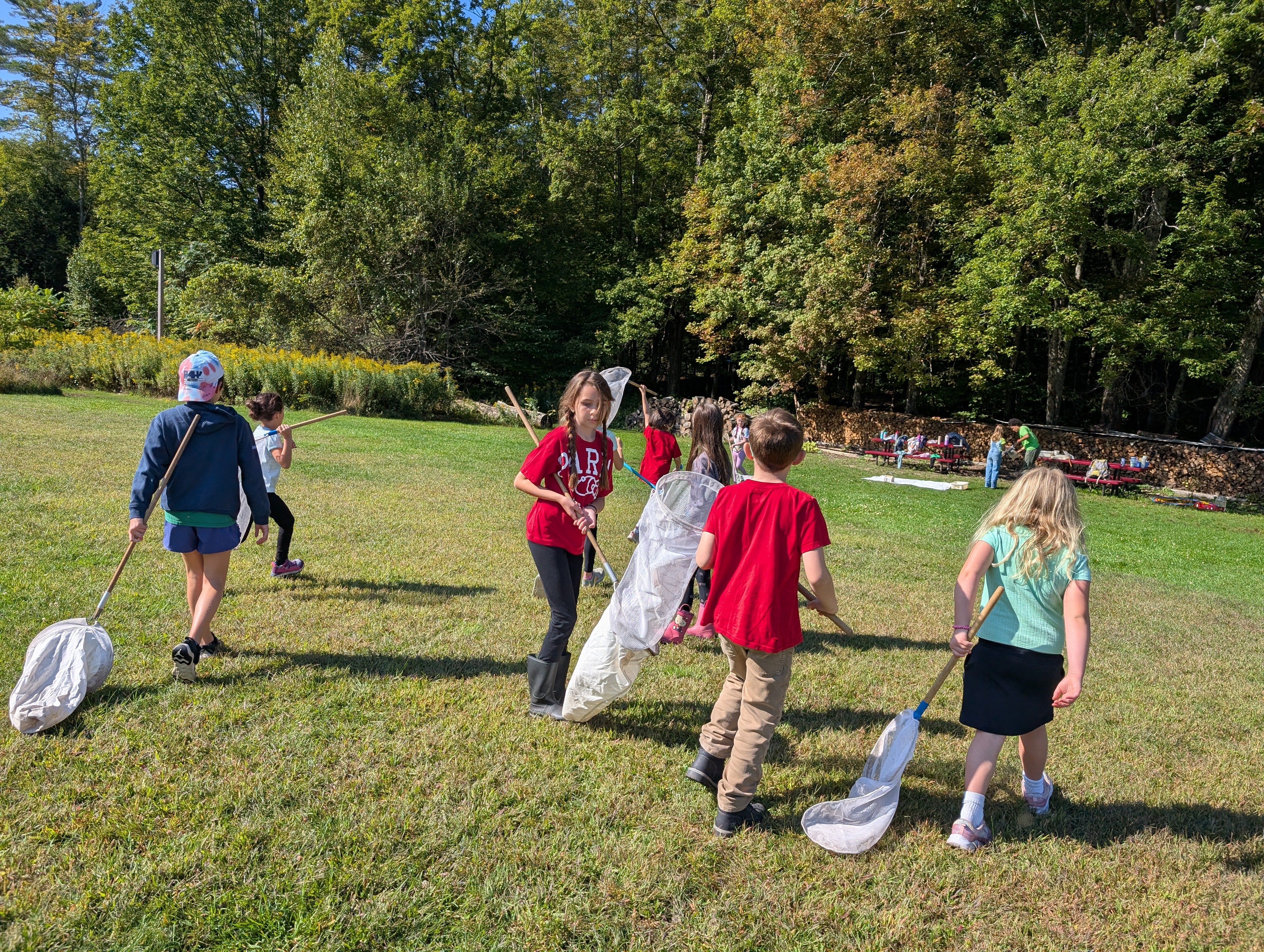 Several kids hold large white butterfly nets walking and standing in a grassy field
