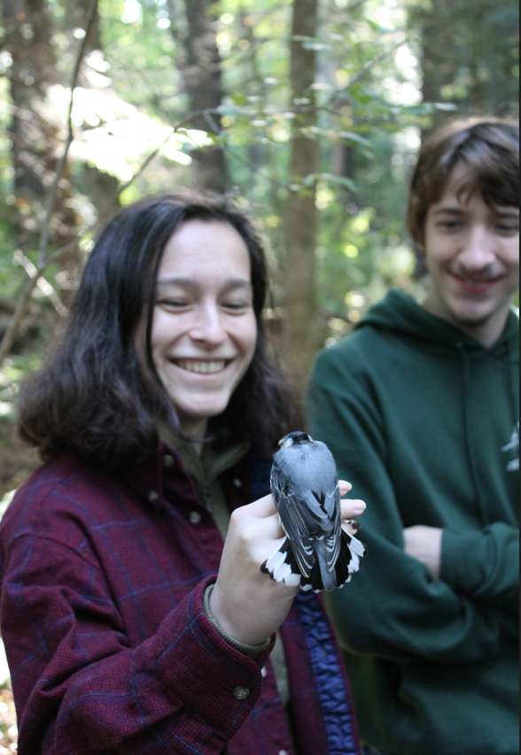 A student holds a White-breasted Nuthatch.