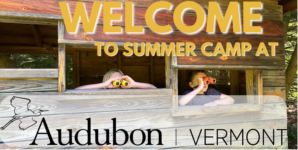 2 campers with colorful binoculars peek out of wooden blind. "welcome to summer camp" in yellow font across picture