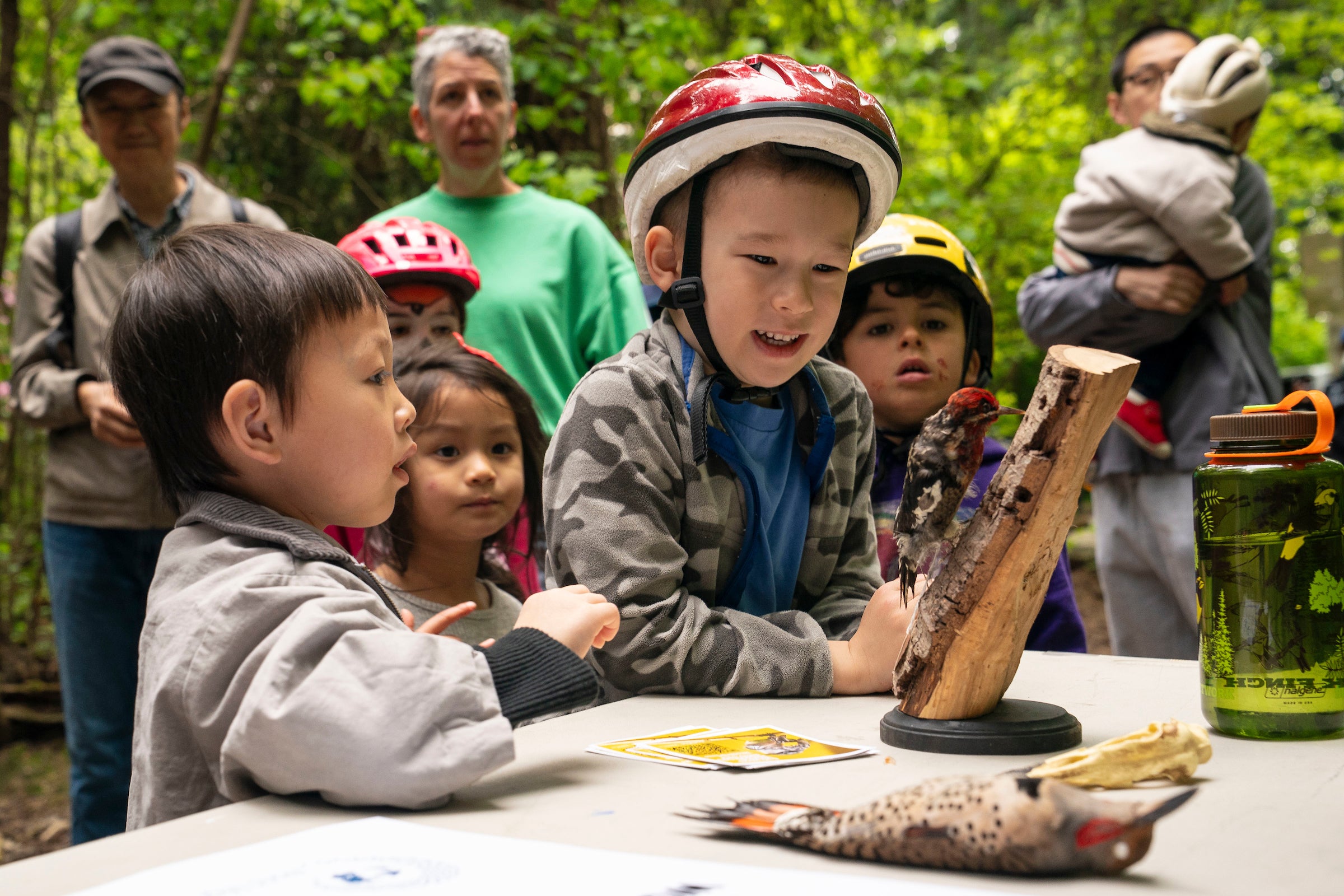 Curious children learn about woodpeckers in the Seward Park forest.