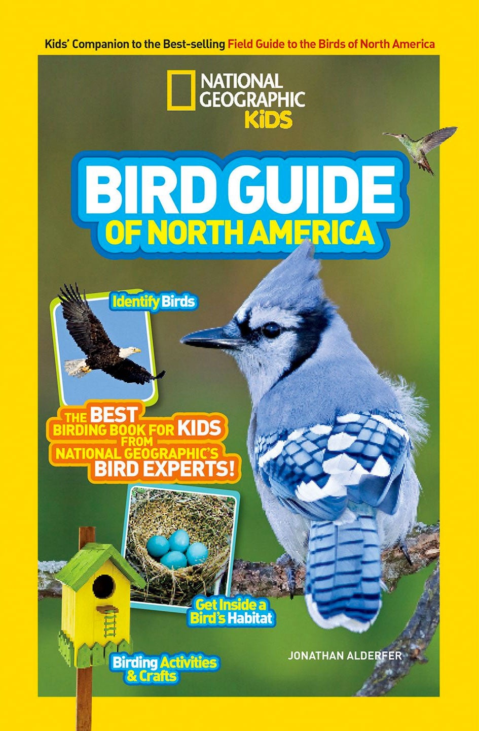 Six KidFriendly Bird Guides Audubon