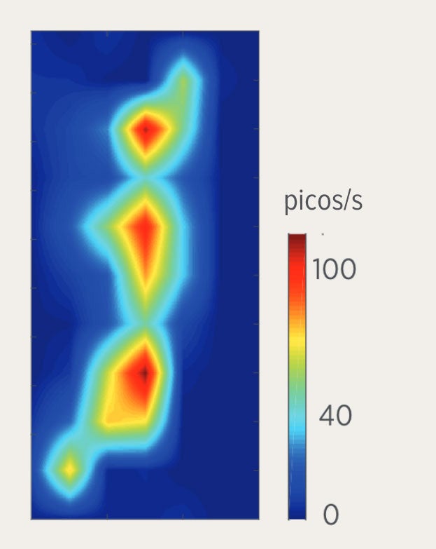 An owl’s brain activity. Red spots show higher spikes per second, revealing that multiple neuron groups work together in response to stimuli.