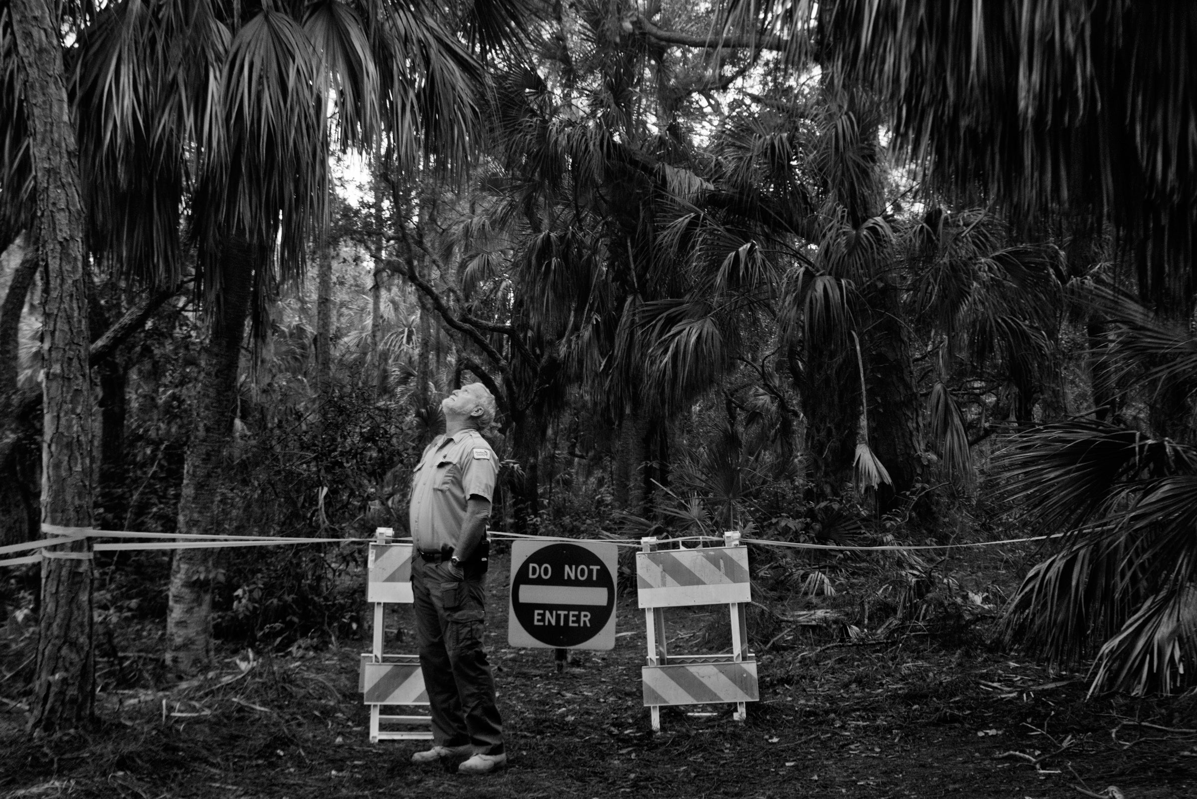 Barricades and signs protect nesting birds from prying eyes. In Florida’s Fort De Soto Park, supervisor Jim Wilson tries to keep the peace between humans and birds. Melissa Lyttle