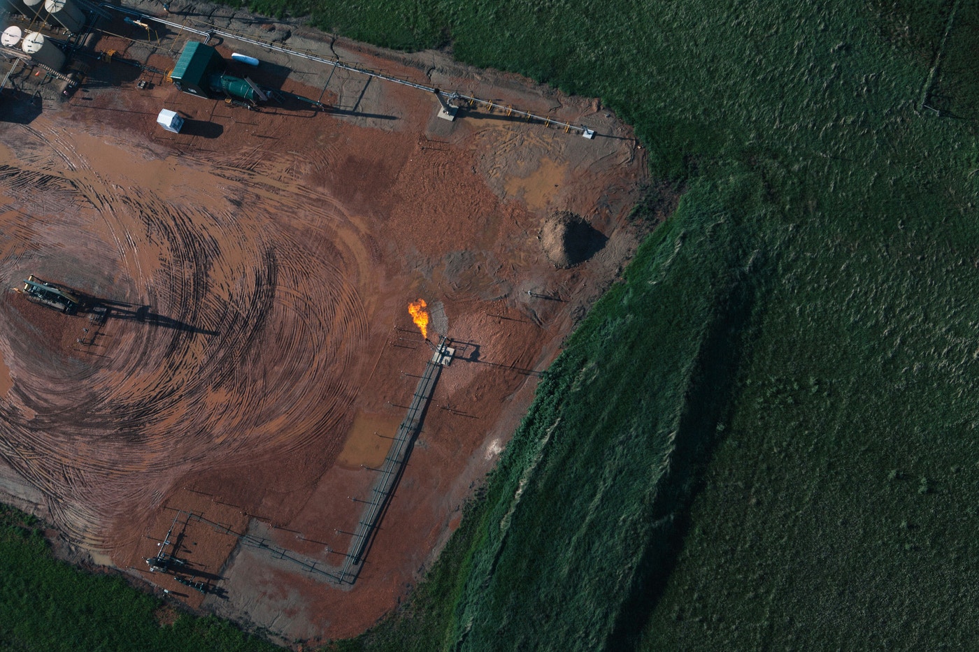 Face Fracking Birds Flee in the Face of Fracking | Audubon