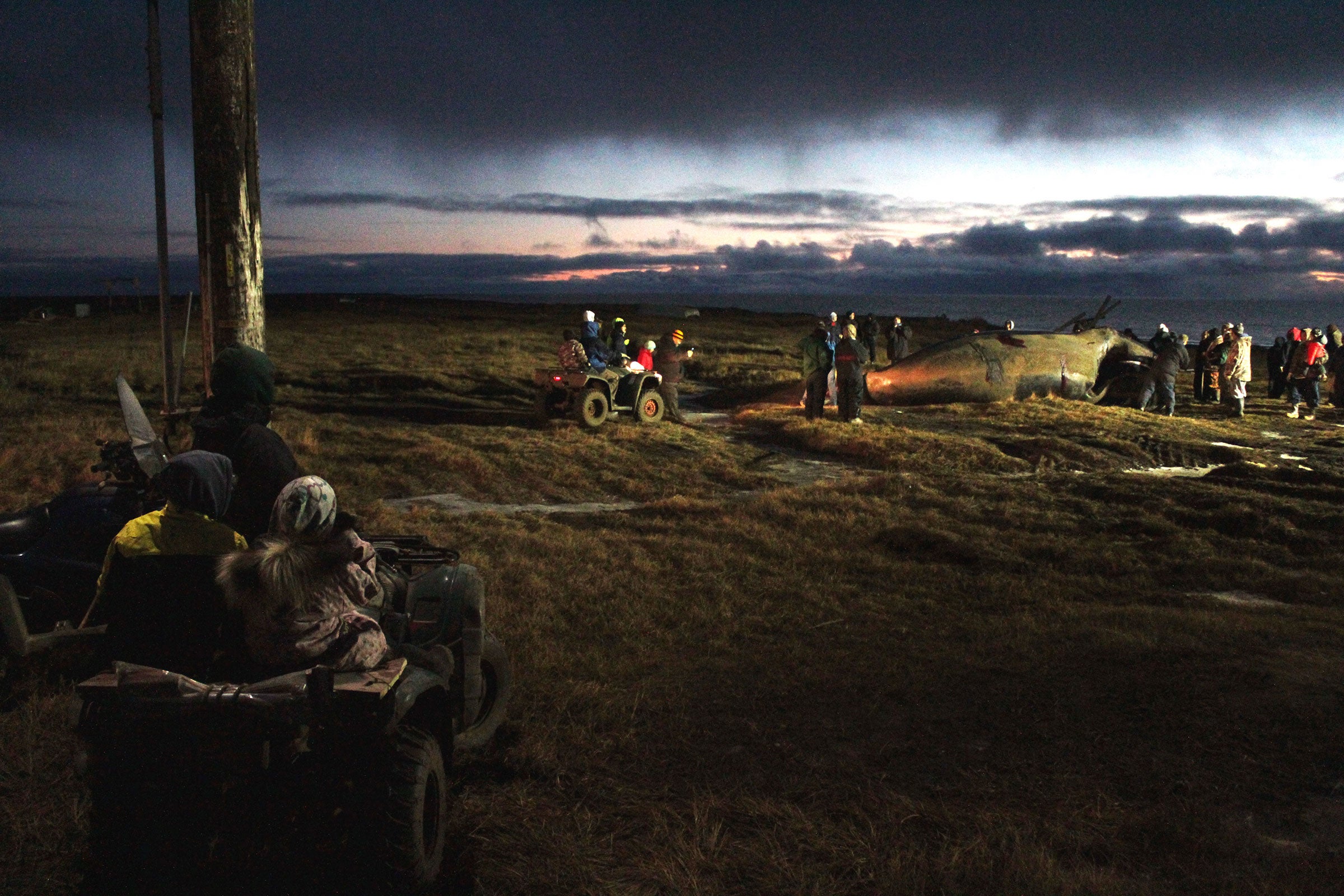 A crowd gathers near the Wainwright beach in September to share meat from a bowhead whale caught during the newly instituted fall hunt. Madeline Ostrander
