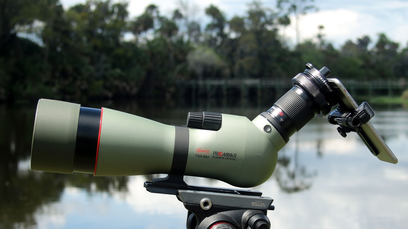 Digiscoping Gear | Audubon