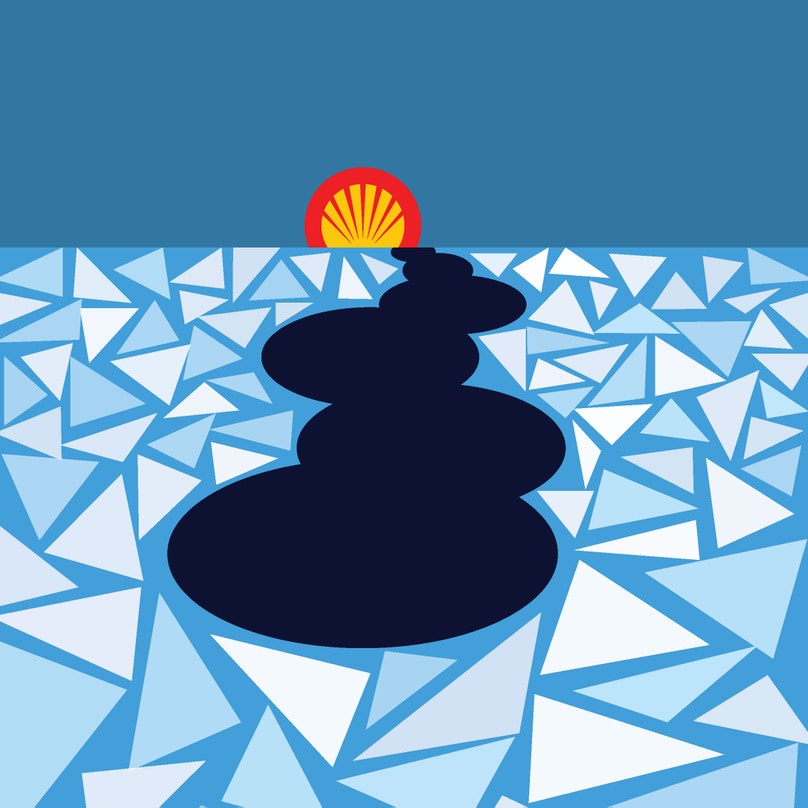Arctic Shells The Inside Story of Shell’s Arctic Assault | Audubon