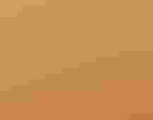 Three shorebirds walk on the beach towards the shore. The air is thick with smoke and gives the image a dark, orange hue.