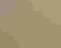 Snail Kite with apple snail | Andy Morffew/Flickr CC (BY-ND 2.0)