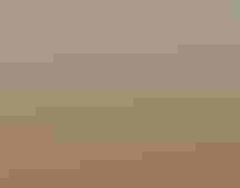 Snowy Owl in the Arctic Refuge. Photo: Milo Burcham