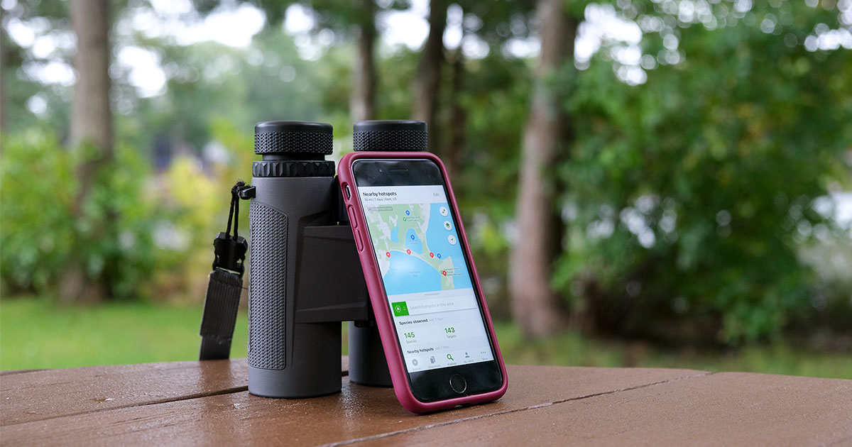 Ebird Guide A Beginner’s Guide to Using eBird | Audubon