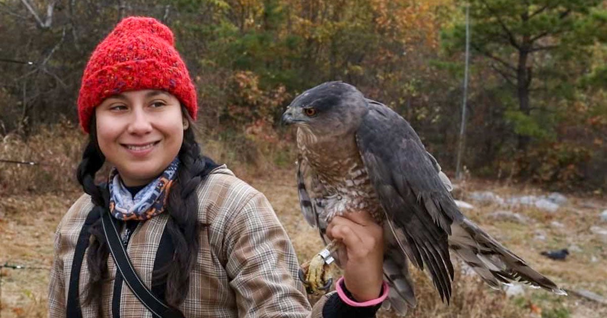A dangerous journey through the country of birds: challenges for ...