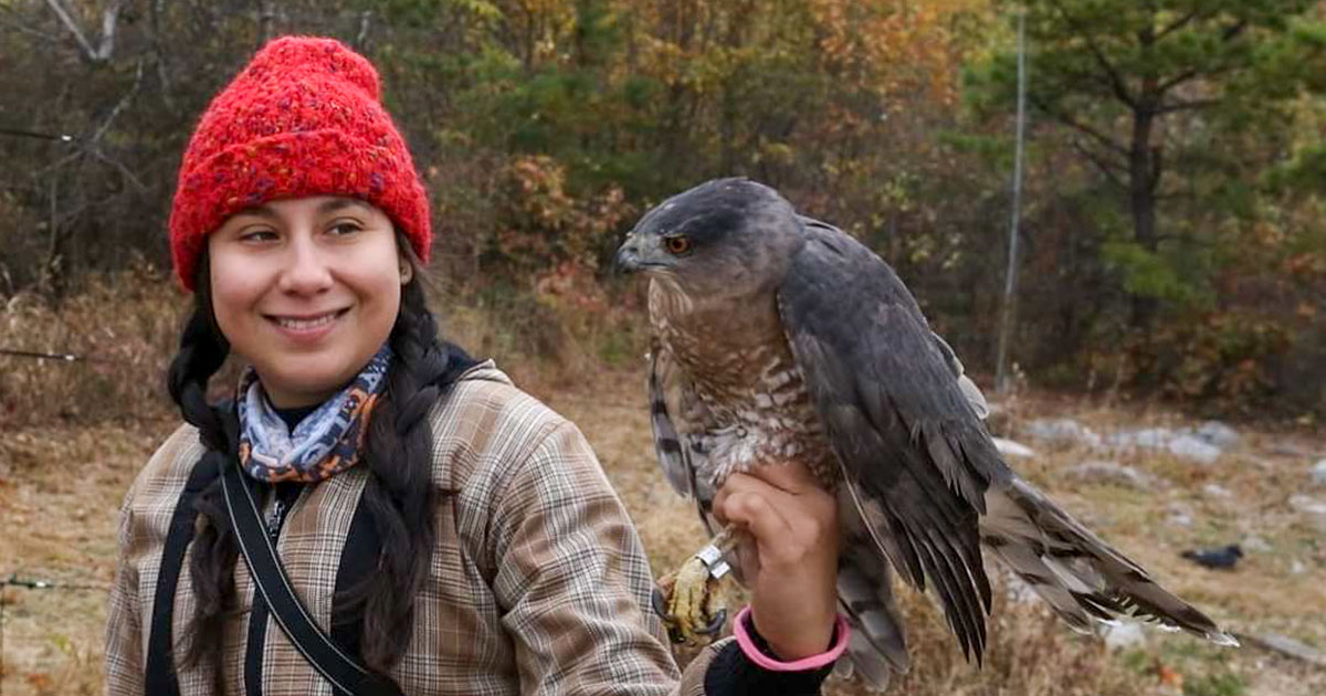 Migratory Raptors A dangerous journey through the country of birds: challenges for ...
