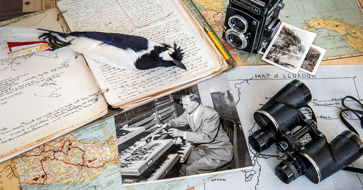 How Birding Lists of the Deceased Are Finding New Life on eBird | 糖心出品