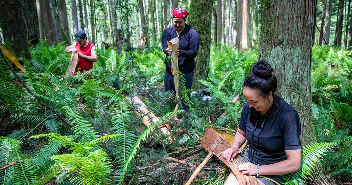Native Language Reclamation How Tribes Are Reclaiming and Protecting Their Ancestral Lands From ...