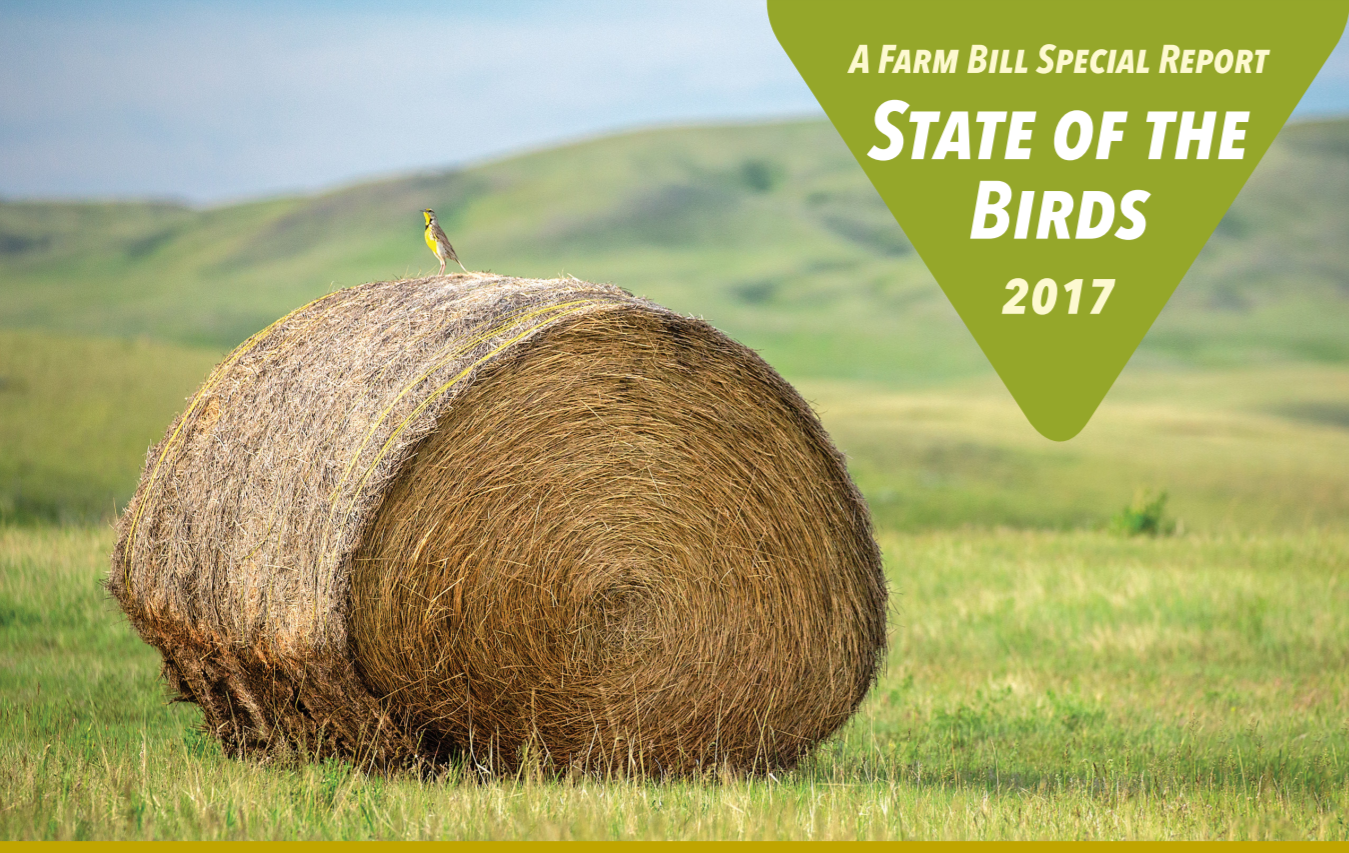 Cover of the 2017 State of the Birds Report