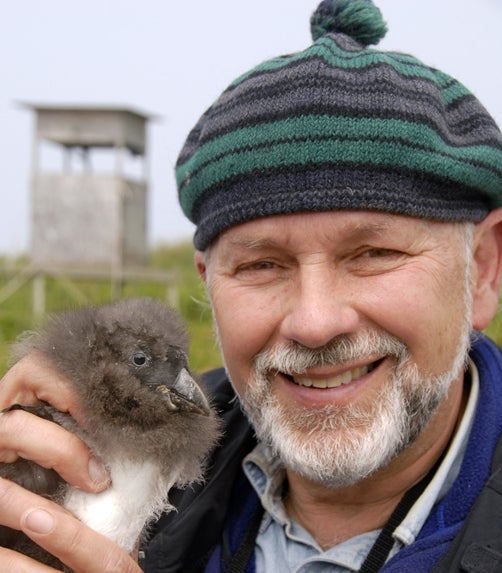 Steve Kress with Atlantic Puffin chick