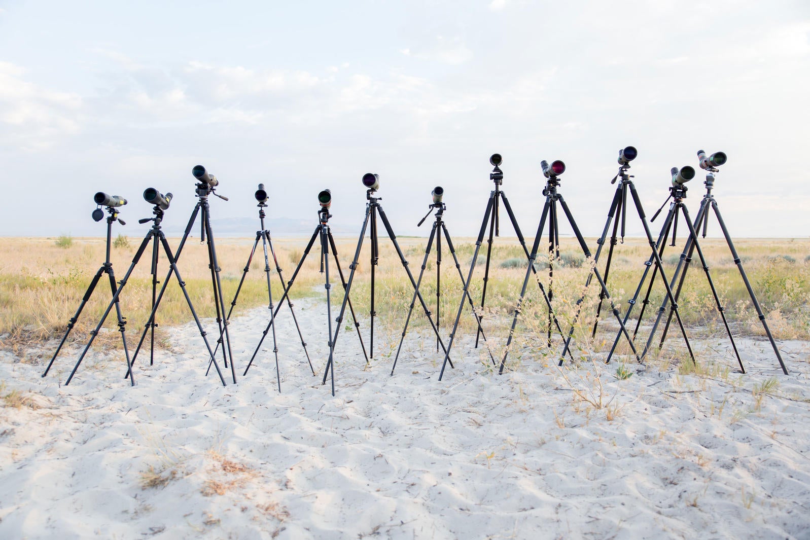 How to Choose Your Spotting Scope Audubon