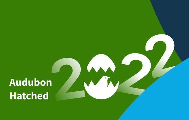Audubon Hatched 2022 - The 0 has a hatching egg in it, the colors are navy, blue and green 