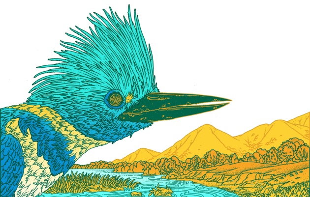 Illustration: Eric Nyquist