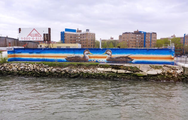 The mural as seen from the East River off Astoria, Queens. Mike Fernandez/Audubon