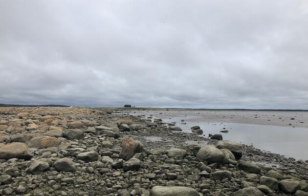 The shore of James Bay.