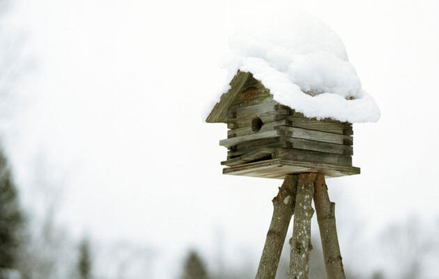Photography by Lenora Gim/Getty Images