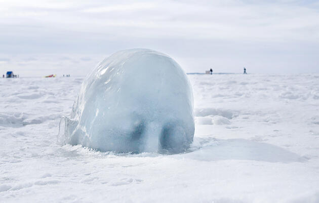Escultura de hielo, de la artista Amy Switzer. Photograph by Liz Lott