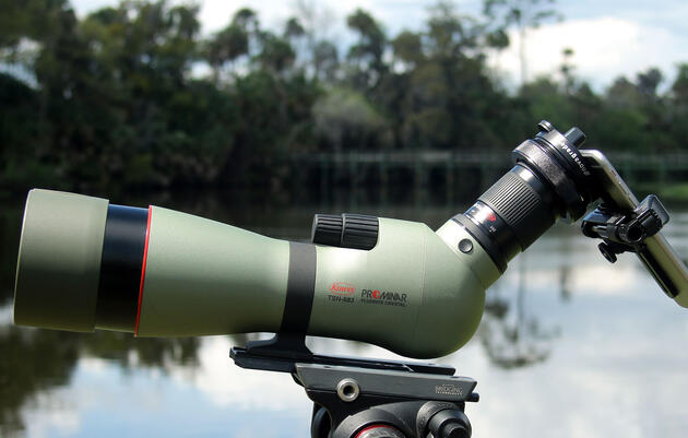 Just mount your smartphone on your spotting scope, and voilà: You're digiscoping. Robert Wilson