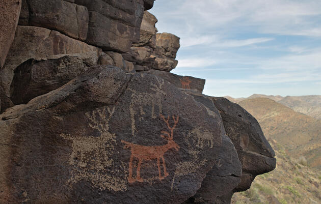 Prehistoric rock art adorns the cliff wall just below one of the pueblos on Perry Mesa. The red deer was painted with mineral pigments containing iron. Photograph by Mark Klett