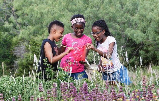 Campers at the Dogwood Canyon Audubon Center in Cedar Hill, Texas. Sean Fitzgerald