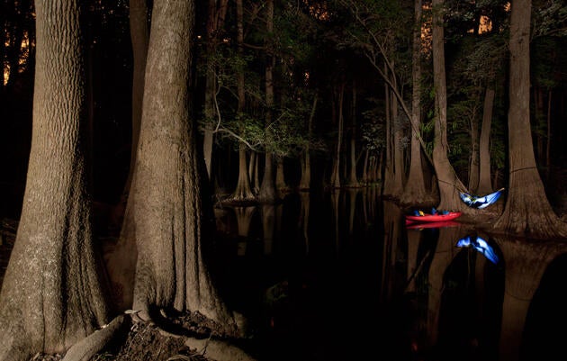 A makeshift hammock on Cedar Creek in Congaree National Park, South Carolina. Mac Stone