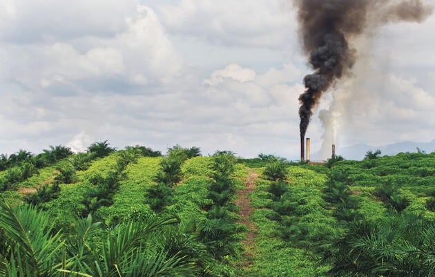 A palm oil mill in operation at a plantation in northern Sumatra, Indonesia. Global production of the oil has doubled in the past decade and is set to do so again by 2020. Paul Hilton