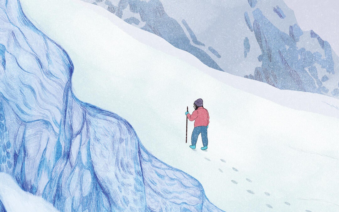 Eight Fantastic New Birdy and Nature-Themed Books for Kids | Audubon