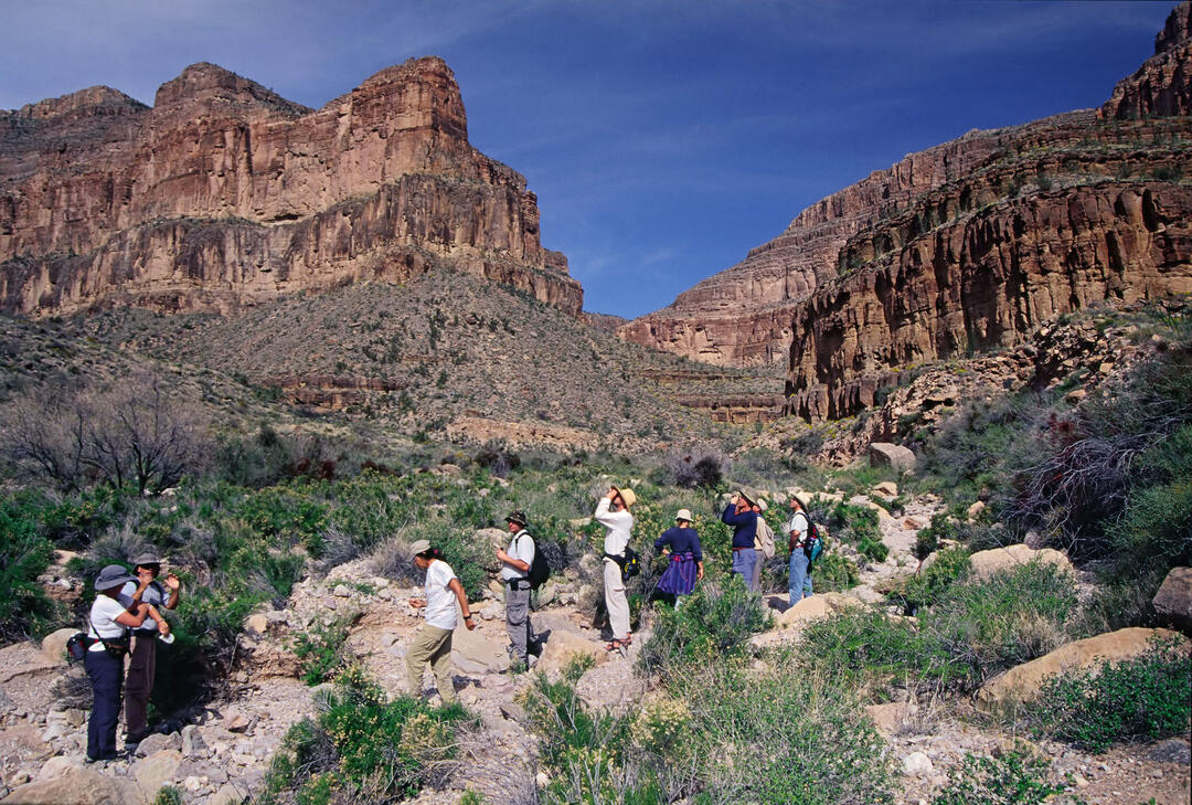 Climate Change Is Hitting National Parks Harder Than Anywhere Else in ...