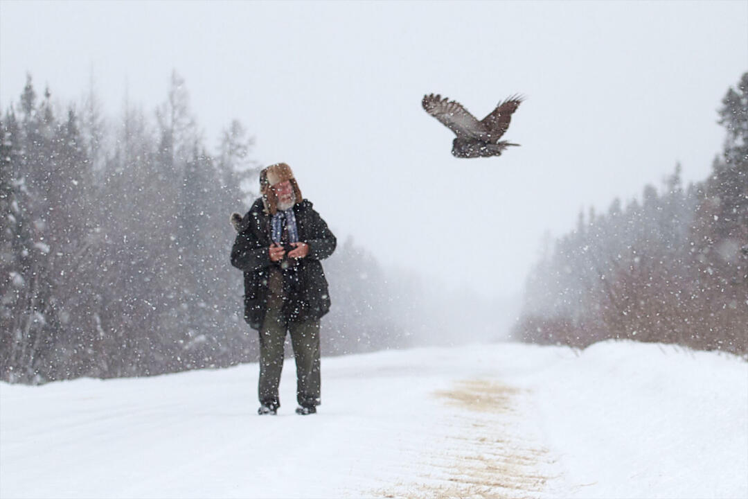 Minnesota's SaxZim Bog Is a Winter Haven for Boreal Birds—and