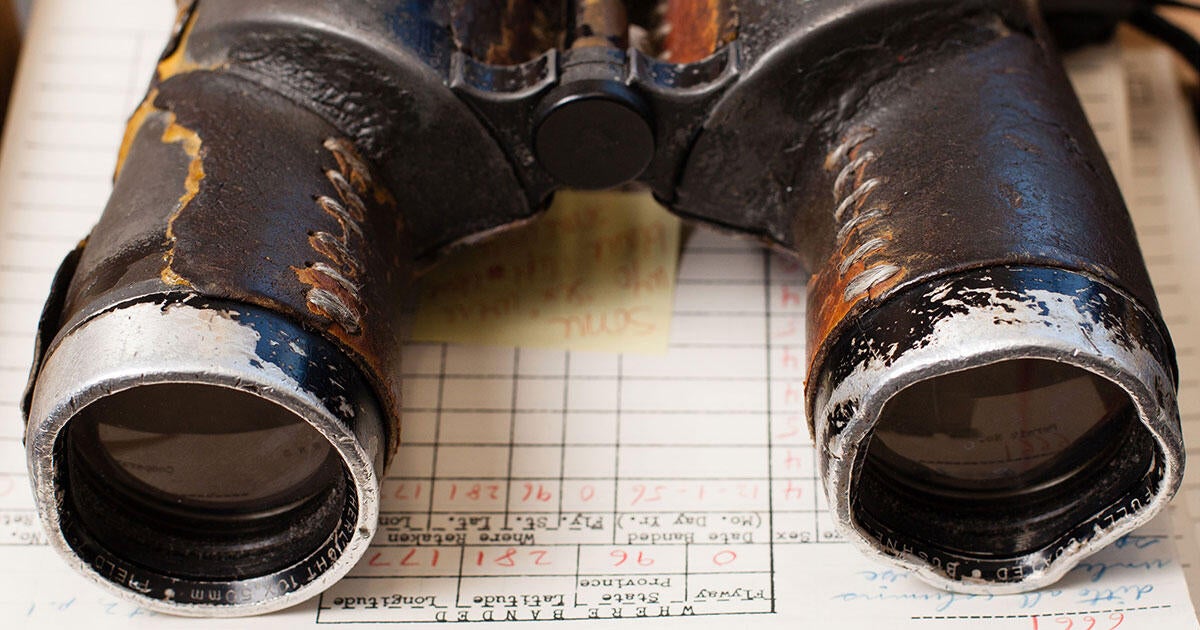 What to Do with Your Old Binoculars Audubon