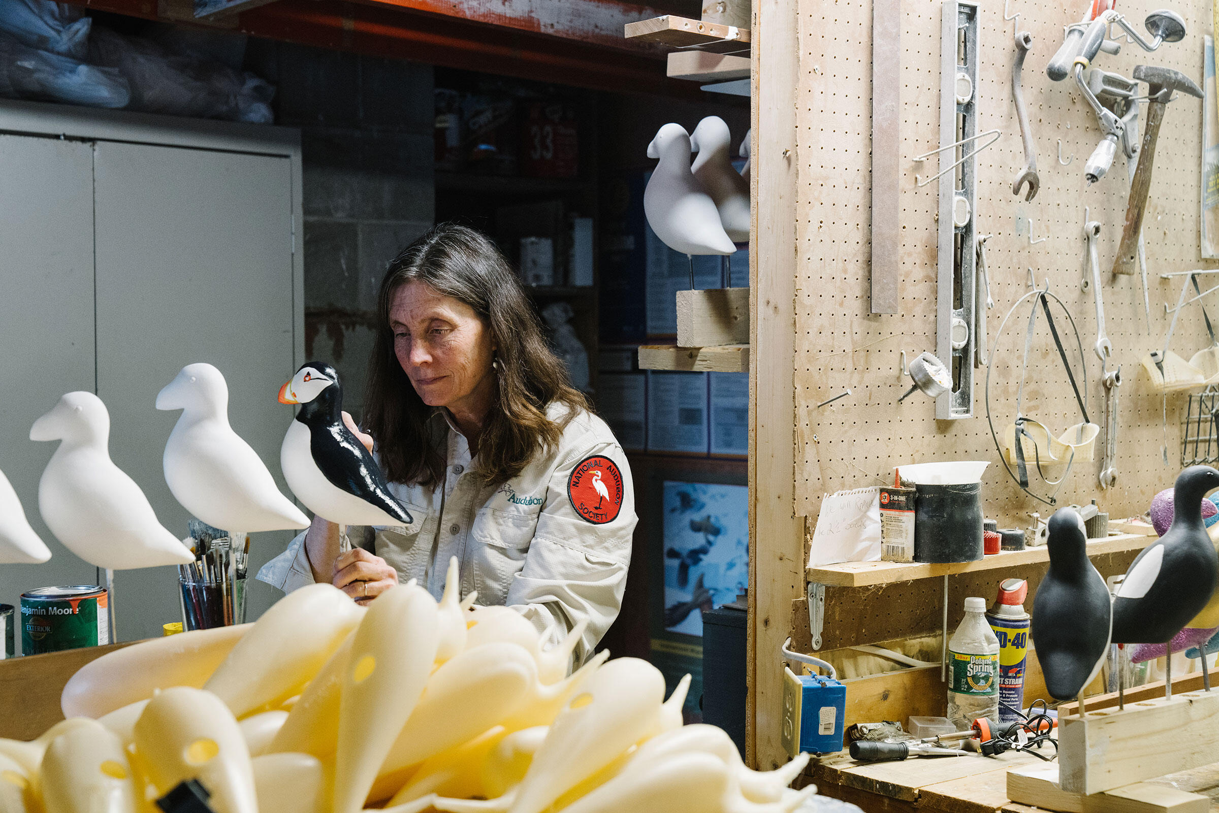 Inside Audubon’s New Decoy Where Saving Seabirds Is the
