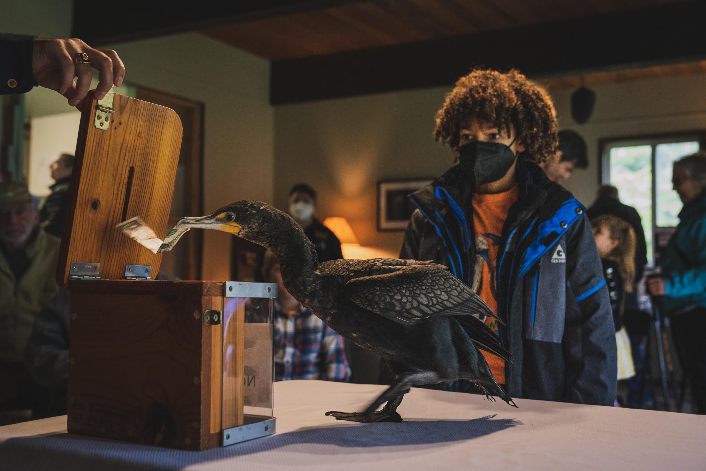 A Photographer Considers the Northwest’s Cormorant Quandary Audubon